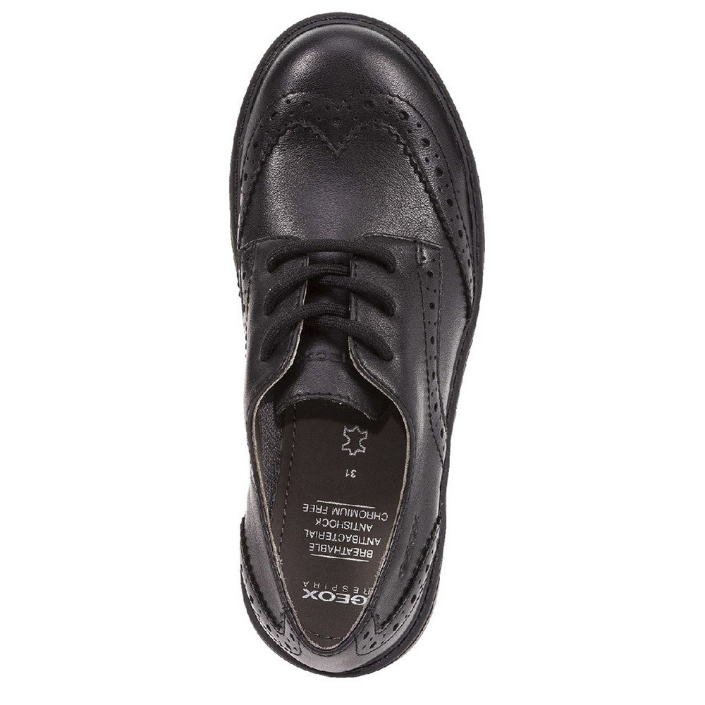 Girls' Geox Casey Lace Up Senior School Shoes