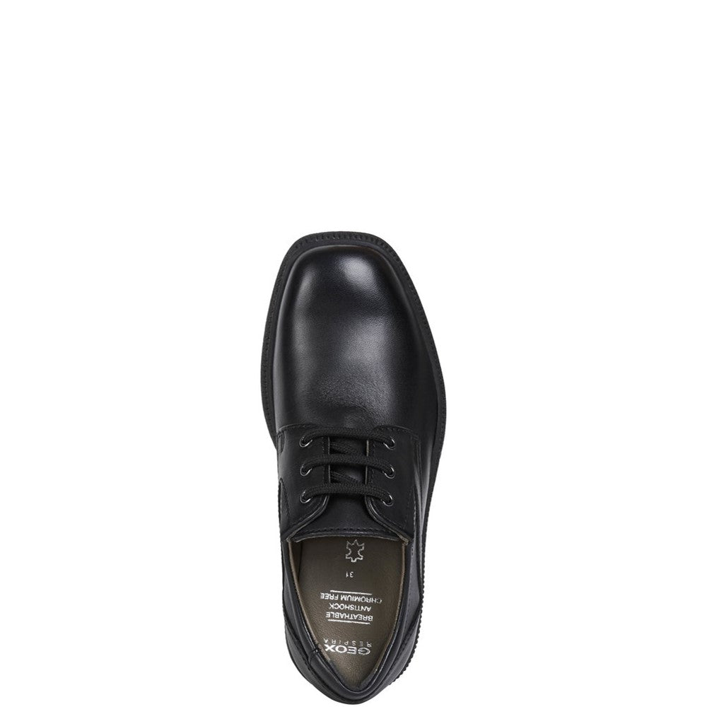 Boys' Geox Junior Federico School Shoes