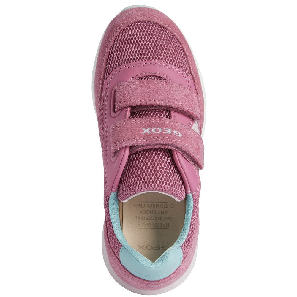Girls' Geox Junior Alben Trainers