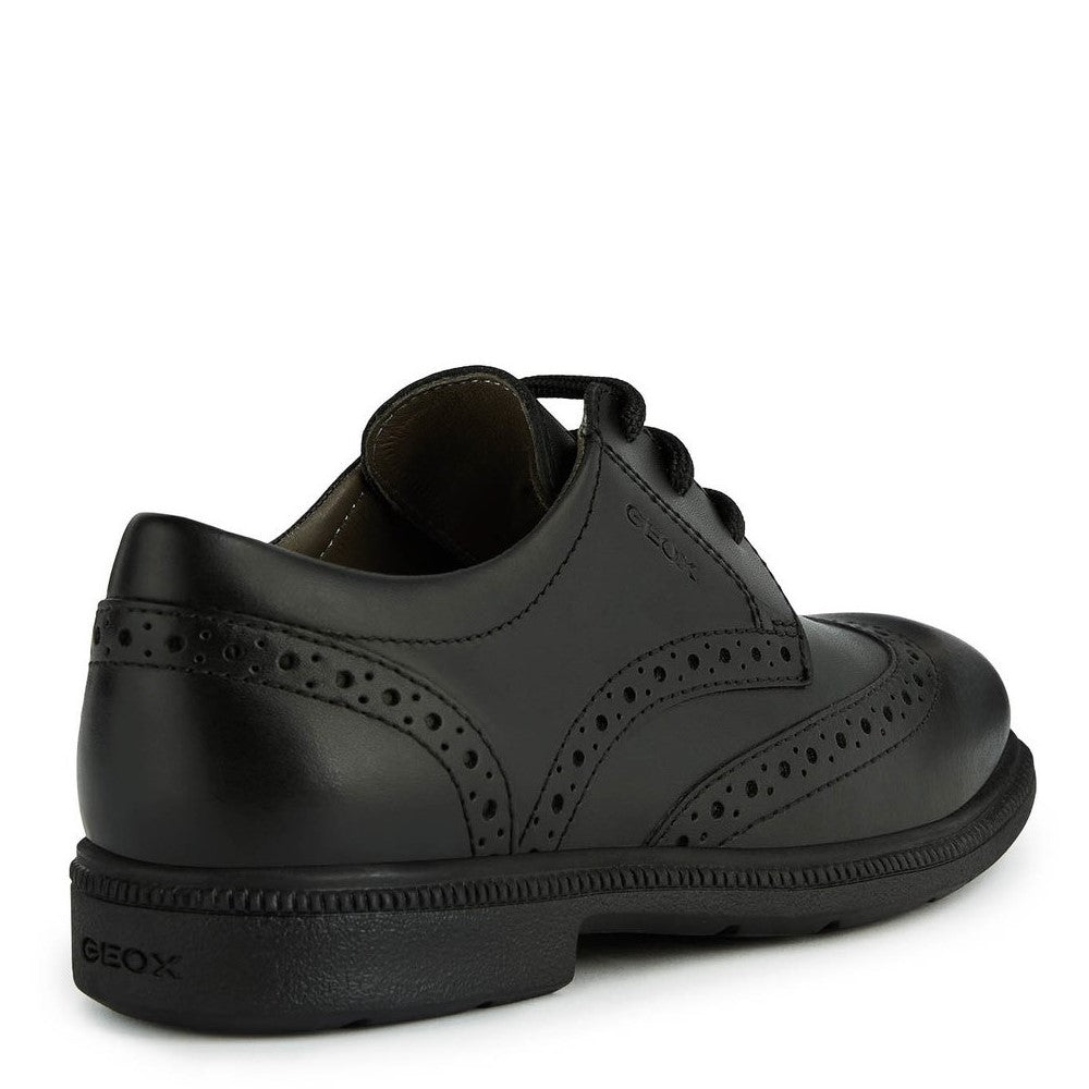 Boys' Geox Federico Brogue Senior Shoes