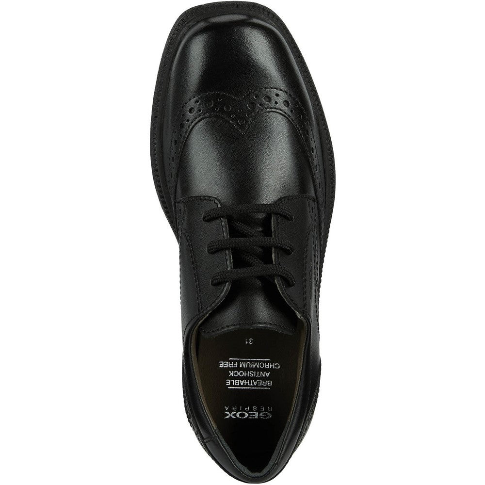 Boys' Geox Federico Brogue Senior Shoes