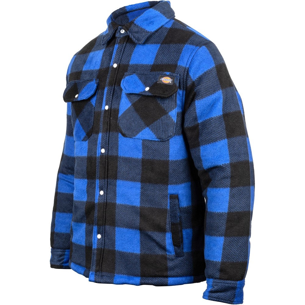 Men's Dickies Portland Shirt