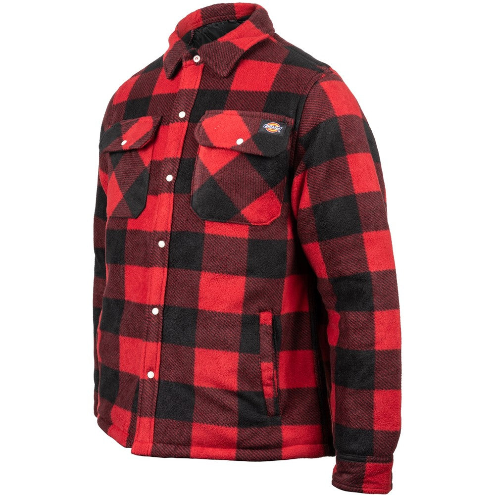 Men's Dickies Portland Shirt