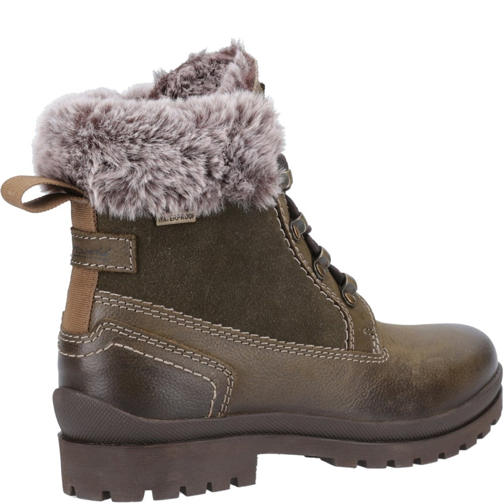 Women's Cotswold Evenlode Ankle Boots