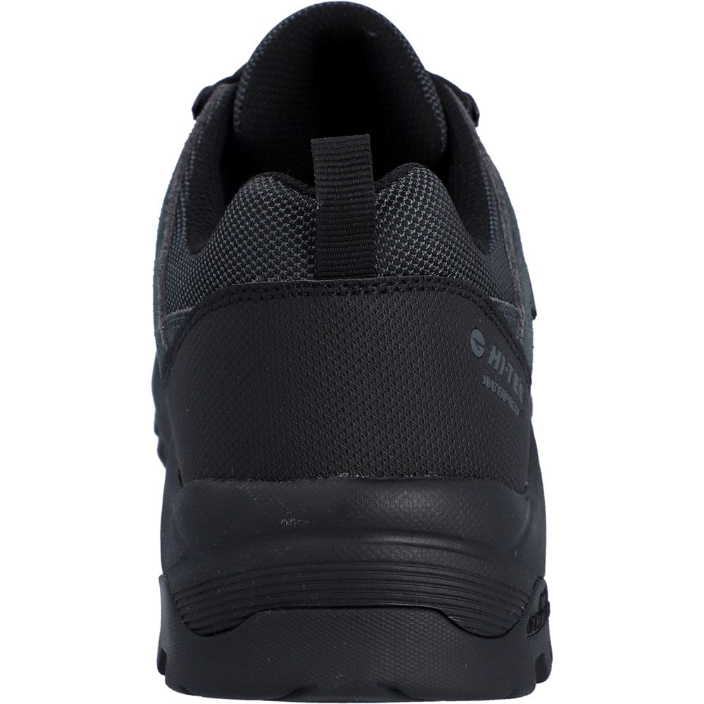 Men's Hi-Tec Bandera Expedition Low Hiker