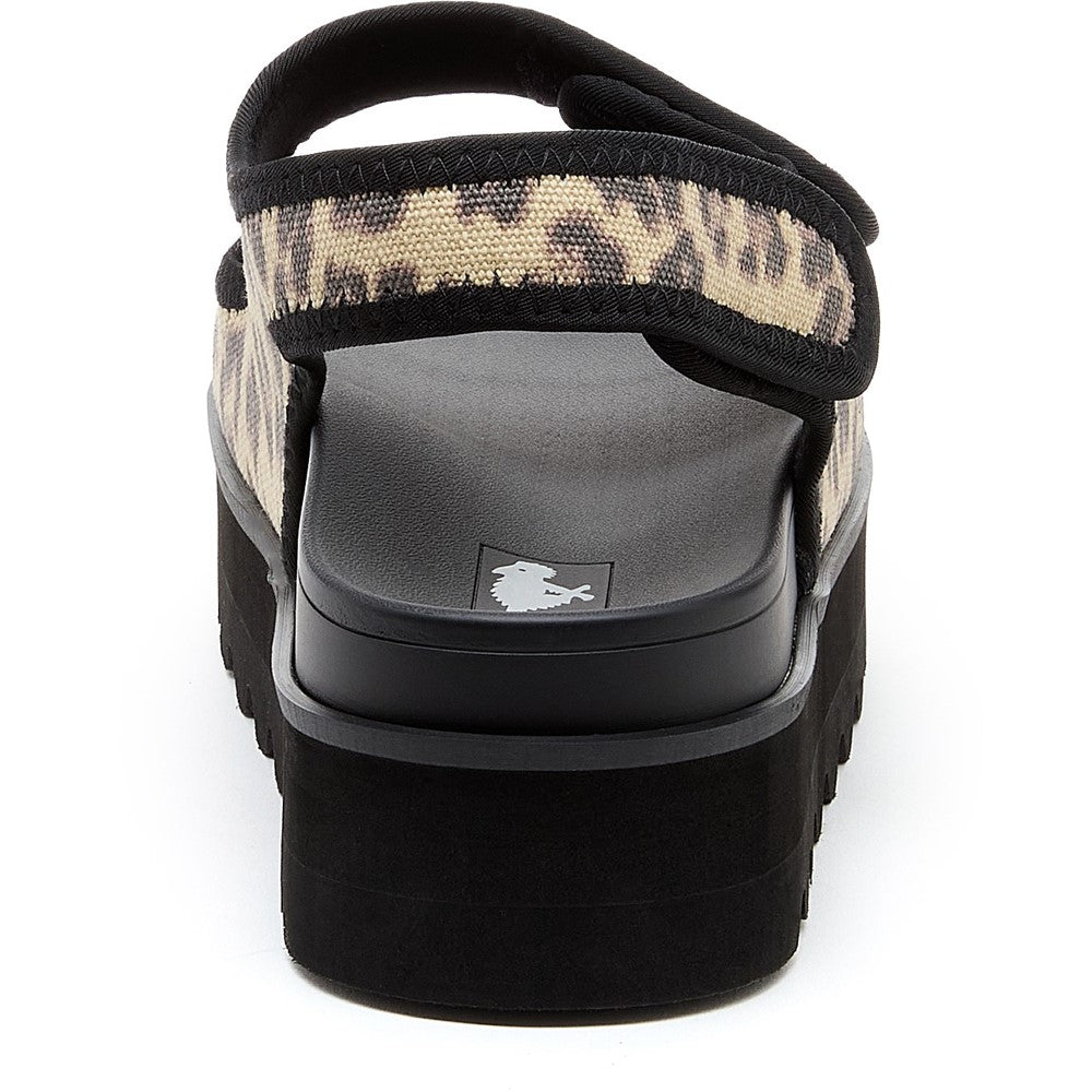 Women's Rocket Dog Balmy Dexter Sandal