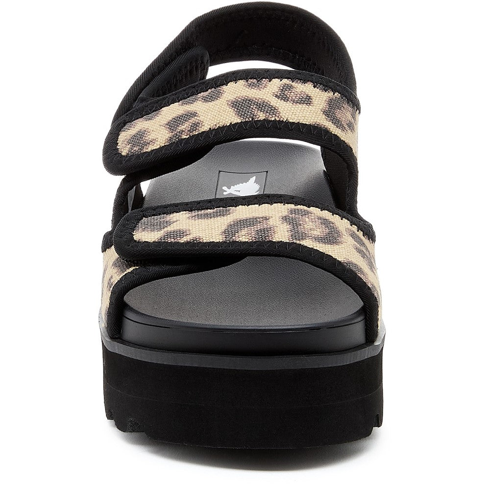 Women's Rocket Dog Balmy Dexter Sandal