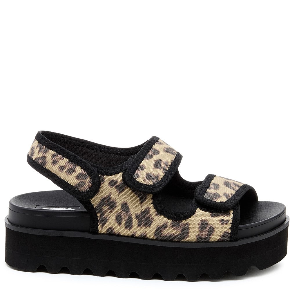 Women's Rocket Dog Balmy Dexter Sandal