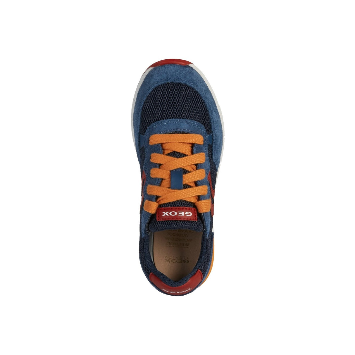 Boys' Geox J Alben Boy D Lace Up Trainer