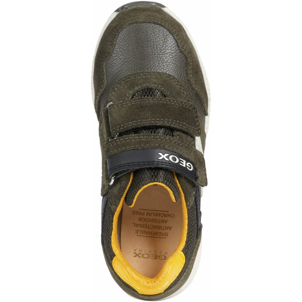 Boys' Geox Alben Shoes