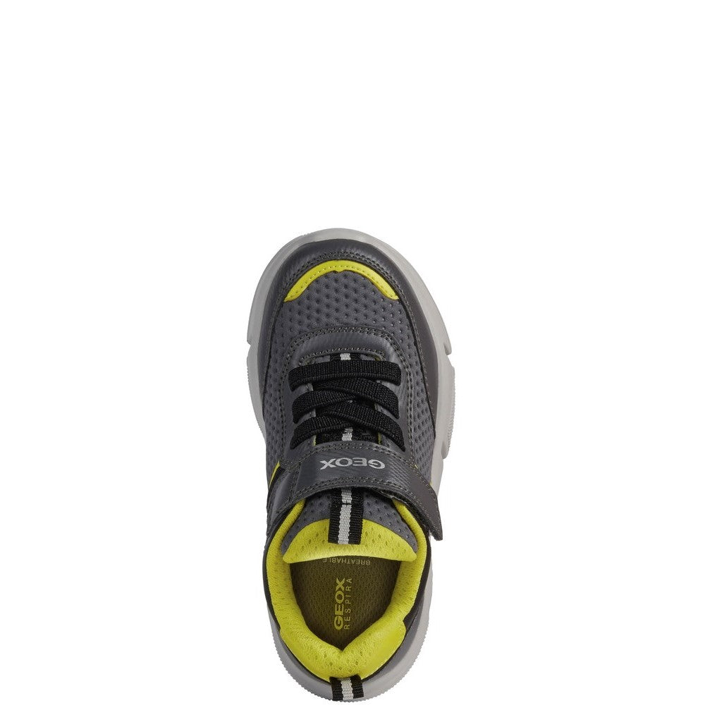 Boys' Geox Aril Junior Shoes