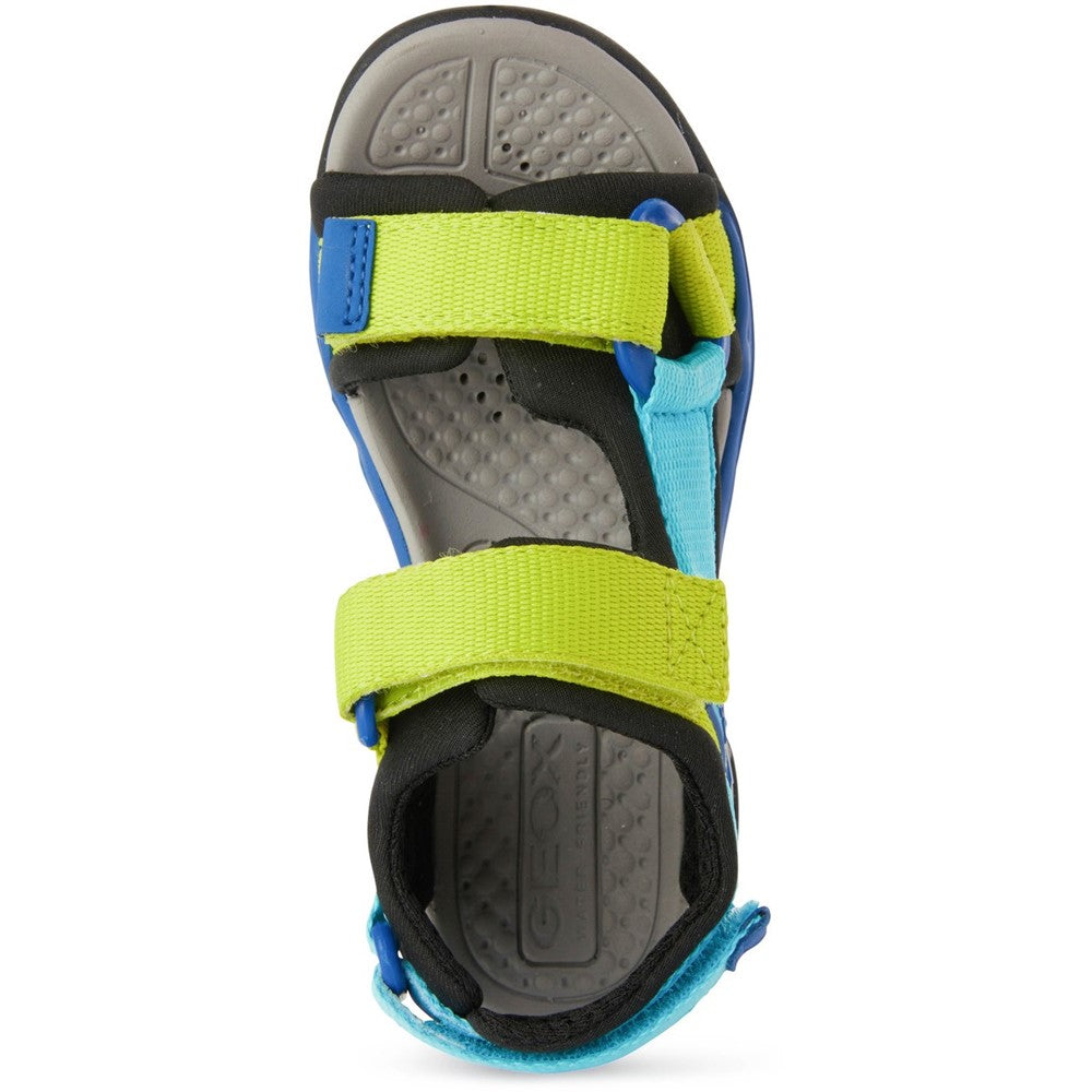 Boys' Geox Borealis Sandals