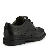 Boys' Geox Federico Brogue Senior XL School Shoes