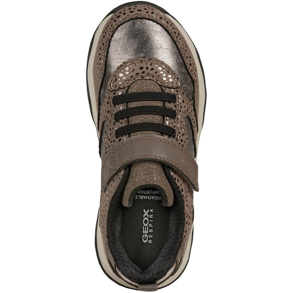 Girls' Geox J Calco Girl A Sneakers