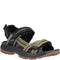 olive black