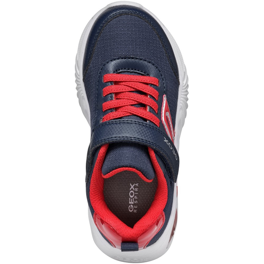 Boys' Geox J ASSISTER B. C Junior Trainers