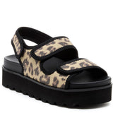 Women's Rocket Dog Balmy Dexter Sandal