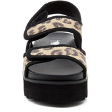 Women's Rocket Dog Balmy Dexter Sandal