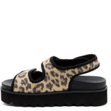 Women's Rocket Dog Balmy Dexter Sandal