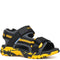 black yellow