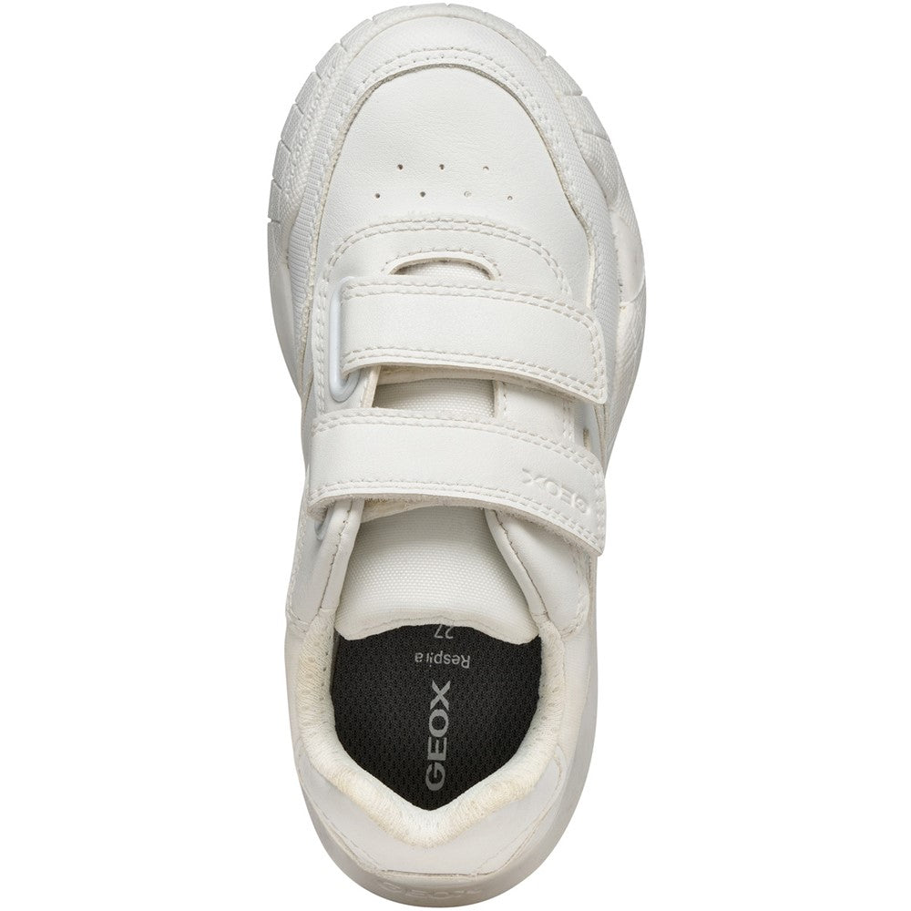 Boys' Geox J Rann-E Junior Sneakers