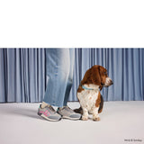 Women's Hush Puppies Seventy8 Smiley Trainer