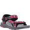 black fuchsia