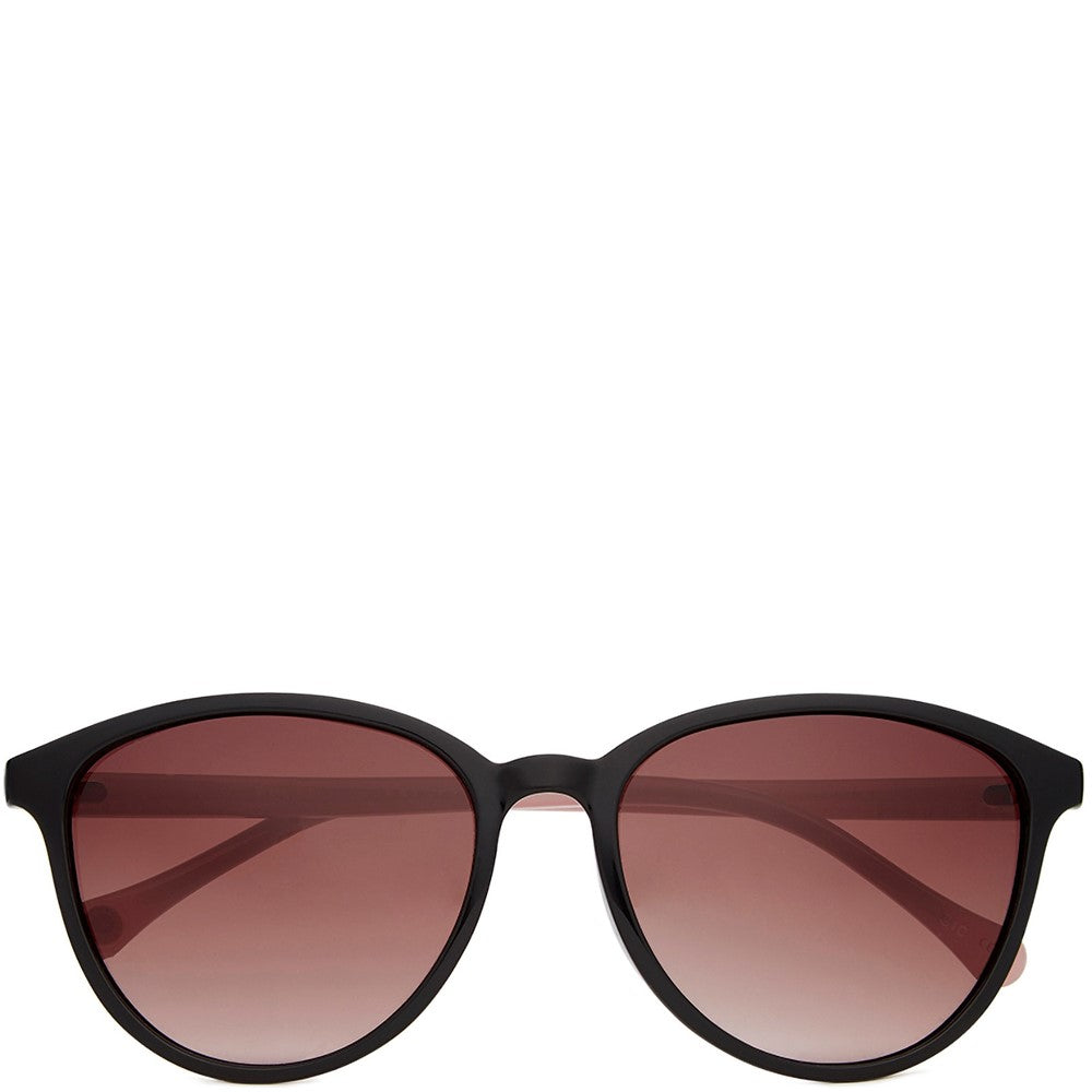 Women's Ted Baker Tierney Sunglasses