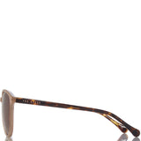 Women's Ted Baker Tierney Sunglasses