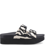 Women's Rocket Dog Esti Plus Wild Cat Sandal