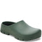 thyme