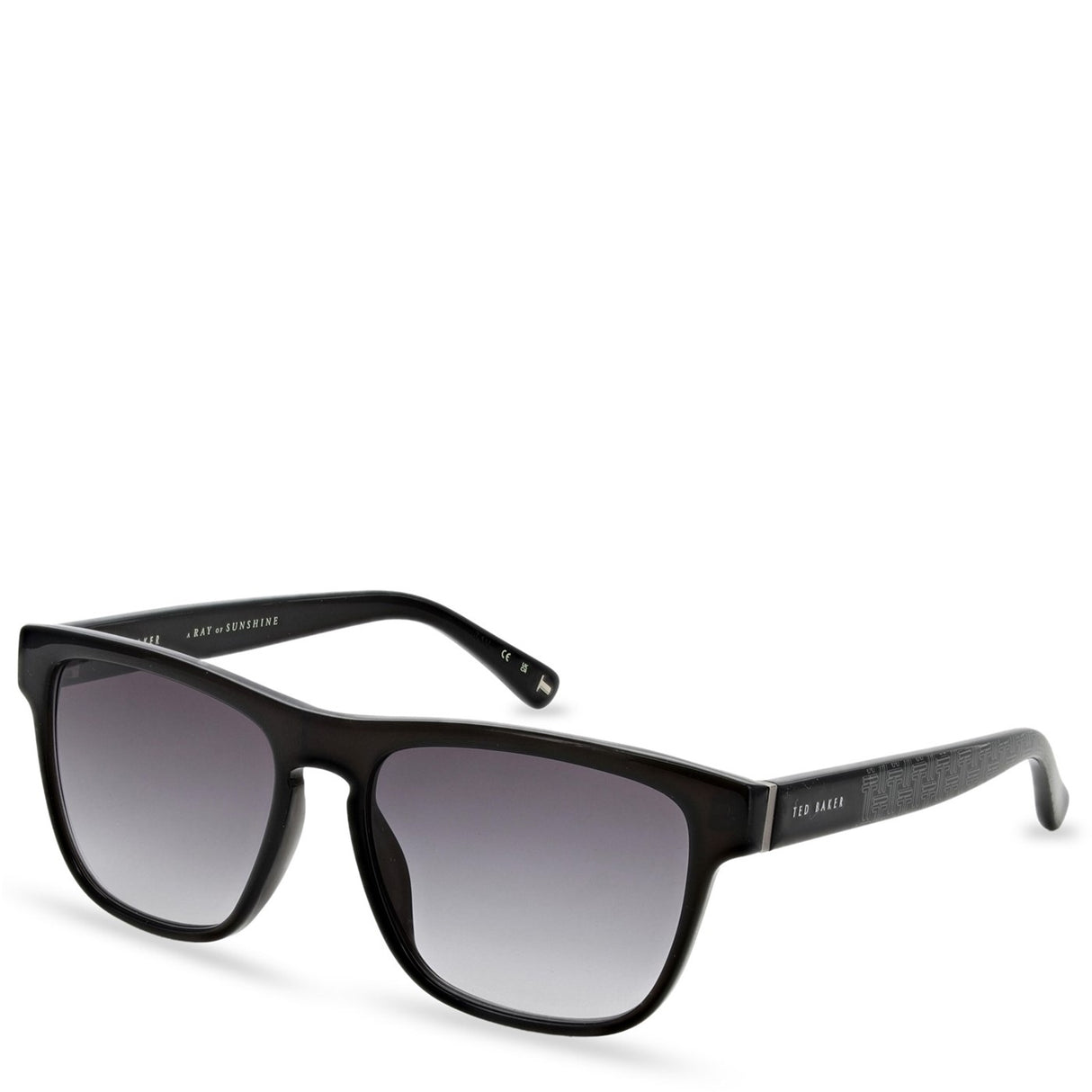 Men's Ted Baker Amalfi Sunglasses