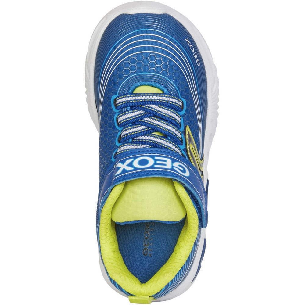 Boys' Geox Junior Assister Trainers